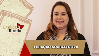 Explica Direito Filiação Socioafetiva  2019 [upl. by Koch]